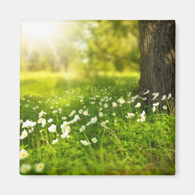 Aimant Les Joys du printemps (Devant)