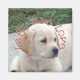 Aimant Les laboratoires sont amour