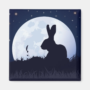 AIMANT LES LIÈVRES DE BLANC DE CREGGAN