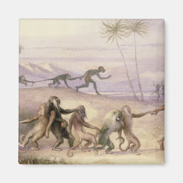 Aimant Les manières et les coutumes des singes (Devant)
