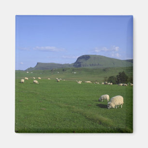 Aimant Les montagnes de Quiraing, île de Skye, Highlands,
