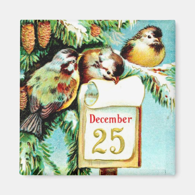 Aimant Les oiseaux célèbrent l'aimant de Noël (Devant)