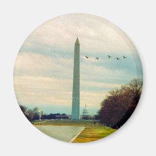 Aimant les oiseaux du monument de washington