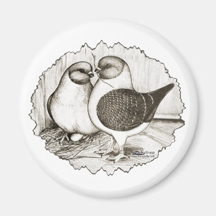 Aimant Les pigeons de Modène Gazzi