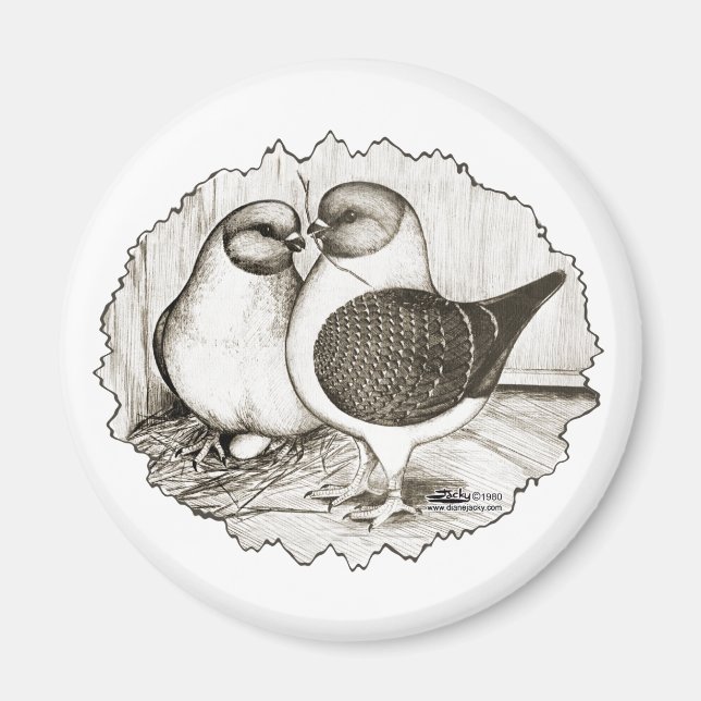 Aimant Les pigeons de Modène Gazzi (Devant)