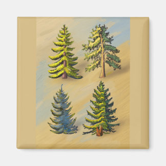 Aimant Les quatres variétés de sapins, botanique.