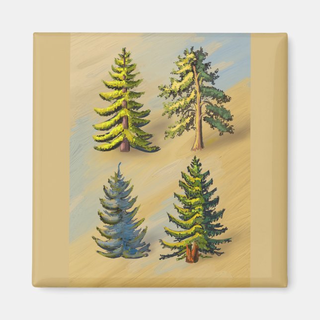 Aimant Les quatres variétés de sapins, botanique. (Devant)