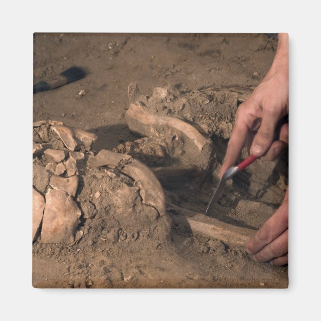 Aimant Les restes humains (Devant)