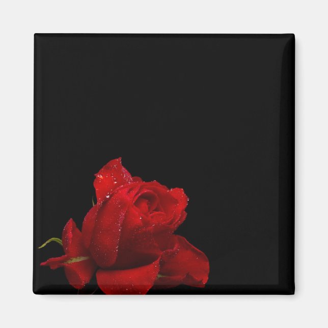 Aimant Les roses sont rouges (Devant)