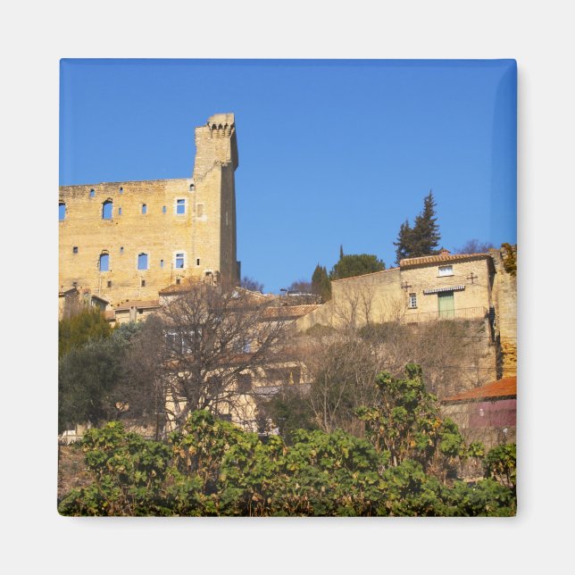 Aimant Les ruines du château d'été du Pape à (Devant)