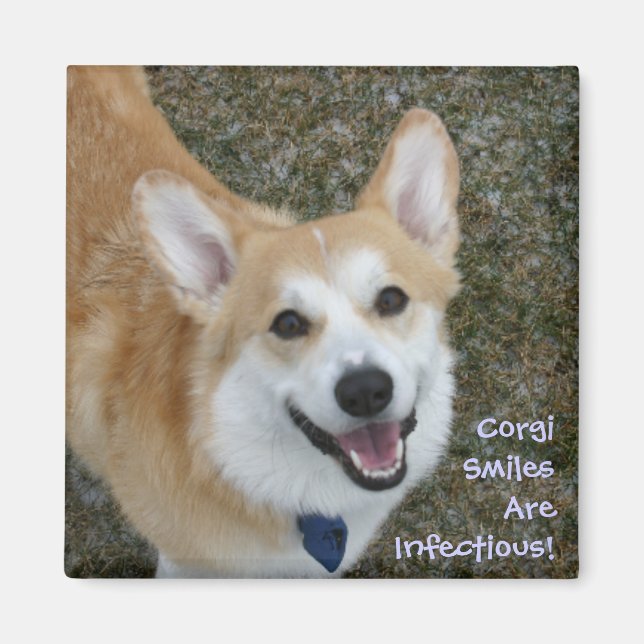 Aimant Les Sourires De Corgi Sont Infectieux ! (Devant)
