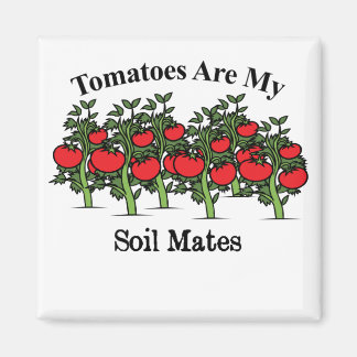 Aimant Les Tomates Drôle Sont Mes Mates De Sol