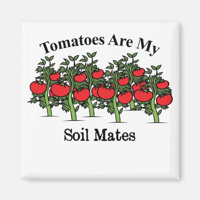 Aimant Les Tomates Drôle Sont Mes Mates De Sol (Devant)