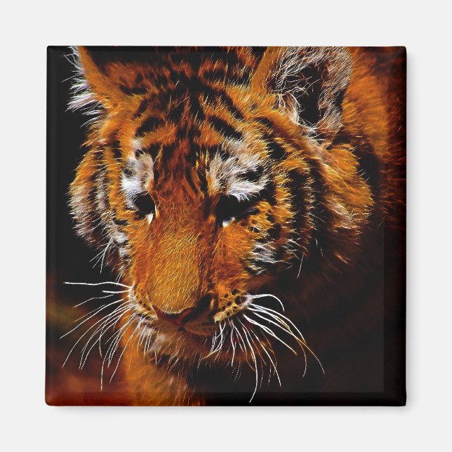 Aimant Les yeux des tigres (Devant)