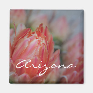 Aimant L'été fleurit en Arizona