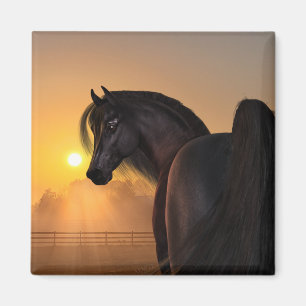 Aimant Levée de soleil du cheval arabe