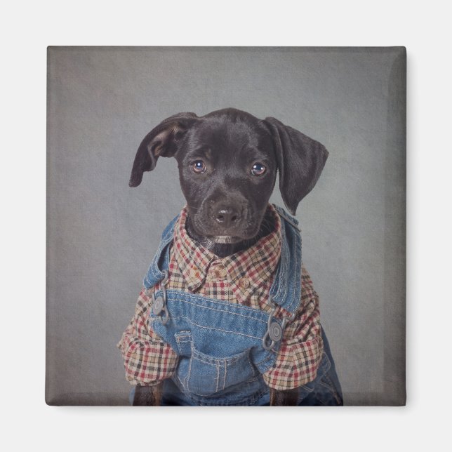 Aimant Levi (Devant)