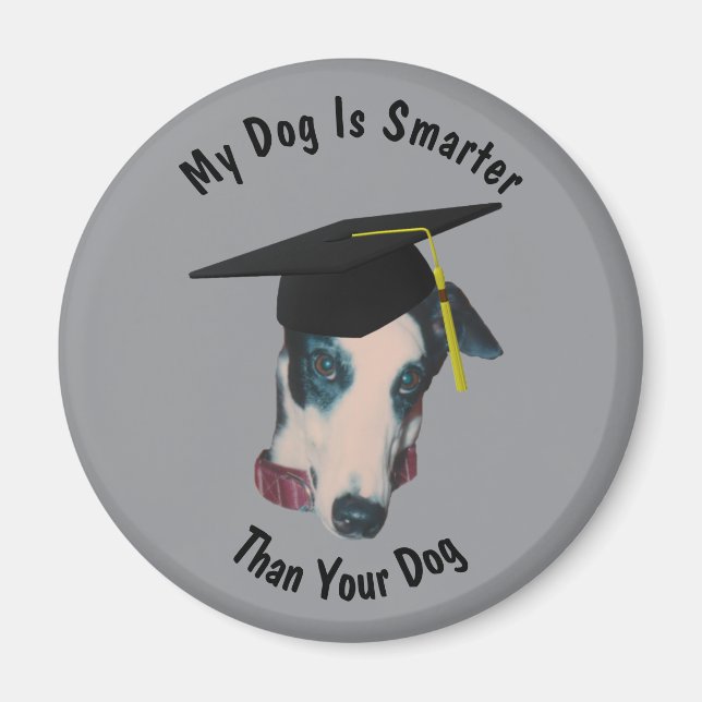 Aimant Lévrier Mon chien est plus intelligent que le vôtr (Devant)