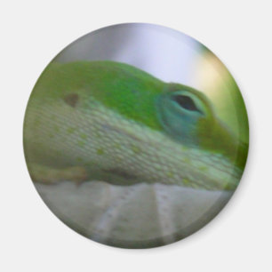 Aimant Lézard vert d'Anole