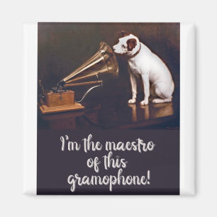 Aimant L'humour de son maître pour chien de voix