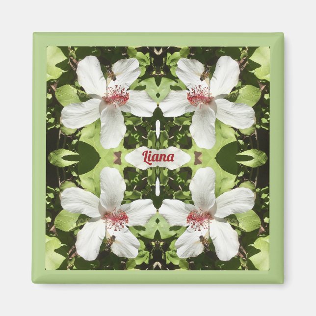 Aimant LIANA ~ EASTER ~ Fleurs d'Hibiscus blancs ~ (Devant)