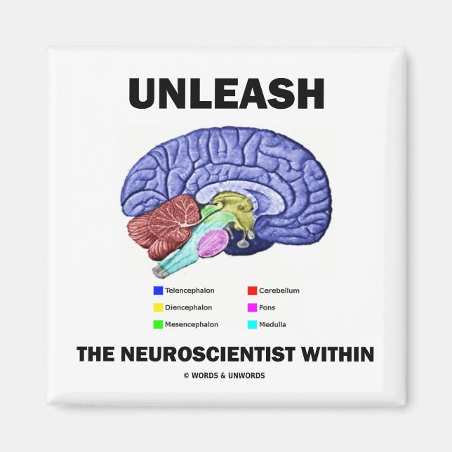 Aimant Libérer Le Neuroscientifique Dans (Anatomie Du Cer (Devant)
