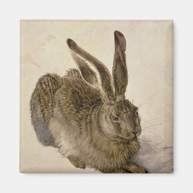 Aimant Lièvre, 1502 (Devant)