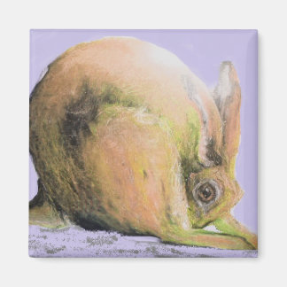 Aimant lièvre jaune