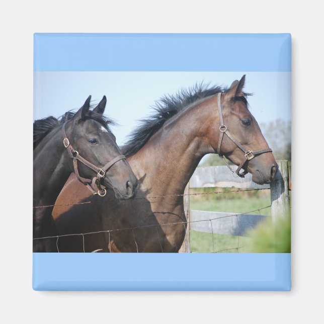 Aimant Ligne de fin de course de cheval (Devant)