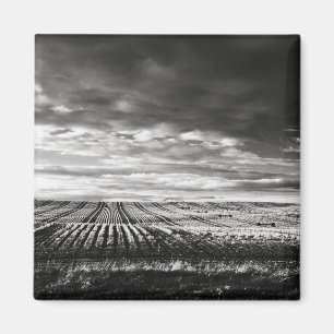 Aimant lignes de champ de ferme