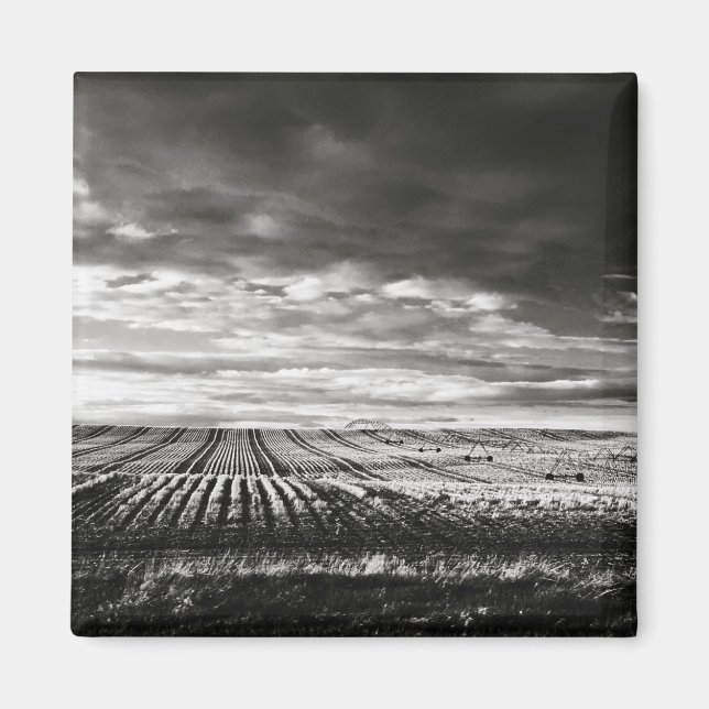 Aimant lignes de champ de ferme (Devant)