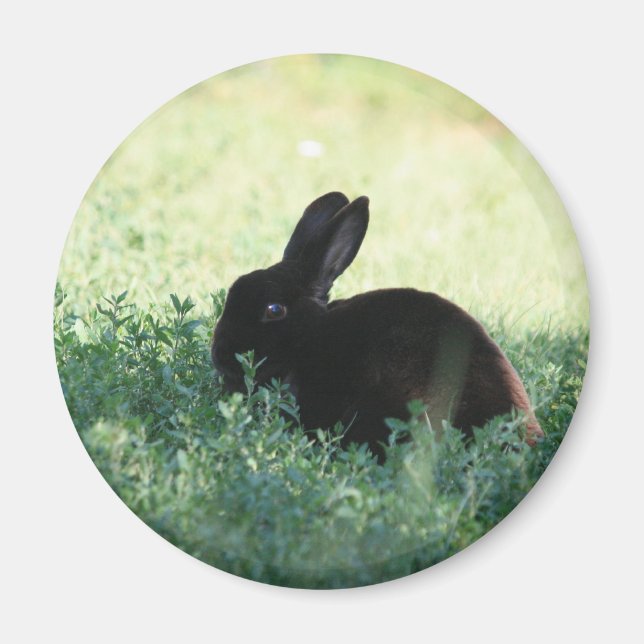 Aimant Lil Black Bunny (Devant)