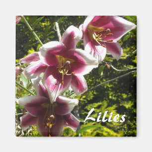 Aimant Lilies