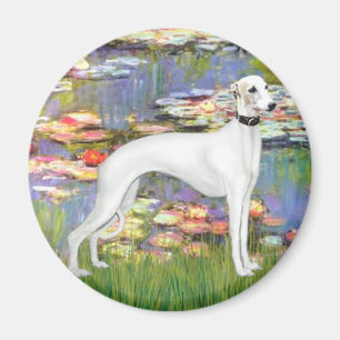 Aimant Lilies 2 - White Whippet (11b)