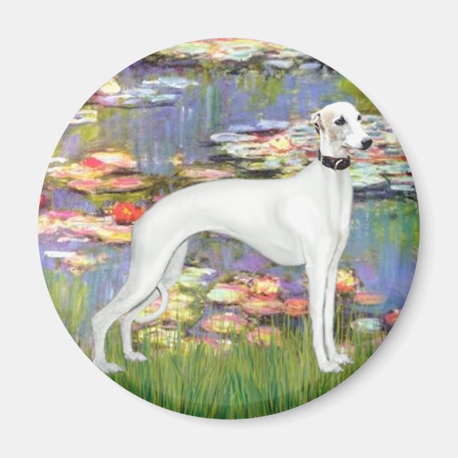 Aimant Lilies 2 - White Whippet (11b) (Devant)