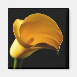 Aimant Lilly jaune