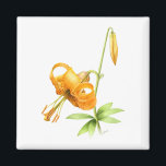 Aimant Lily de tigre sauvage<br><div class="desc">Une belle peinture originale de fleurs de Lys de Tigre sauvage retrouvée pendant que l'artiste était en randonnée. Peint dans le style d'un imprimé d'aquarelle botanique vintage mais avec un look moderne - ce n'est pas une reproduction vintage! Artellus Artworks présente des PEINTURES ET DES OEUVRES ORIGINALES de l'artiste -...</div>