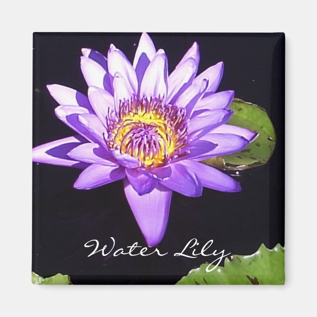 Aimant Lily d'eau (Devant)