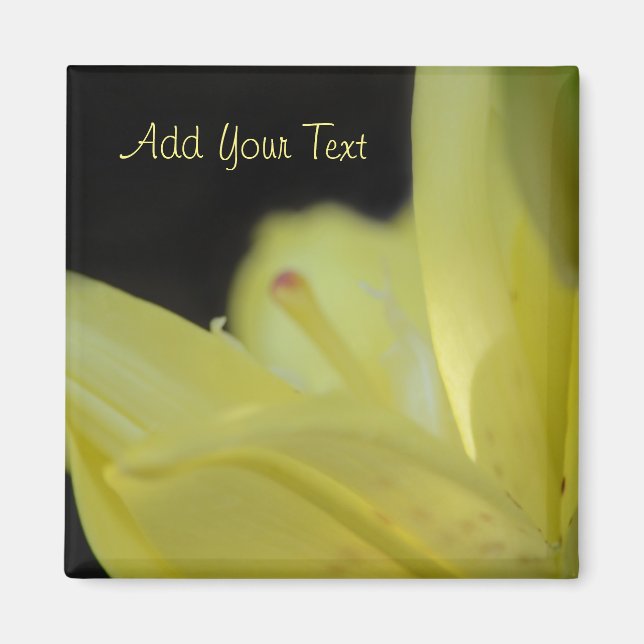 Aimant Lily jaune par Shirley Taylor (Devant)