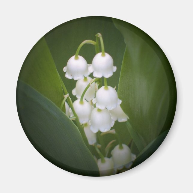 Aimant Lily-Of-The_Valley (Devant)