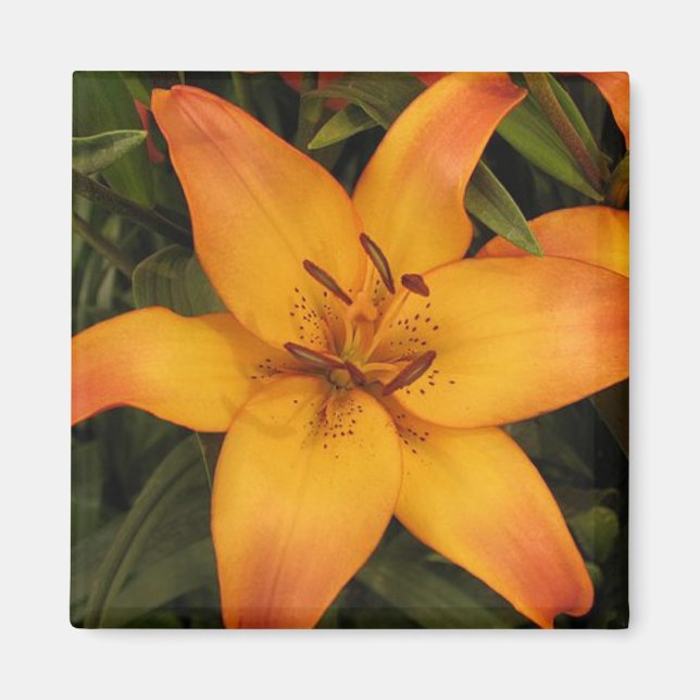 Aimant Lily orange (Devant)