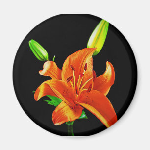 Aimant Lily orange sur noir