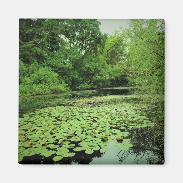Aimant Lily Pads sur le Pond (Devant)