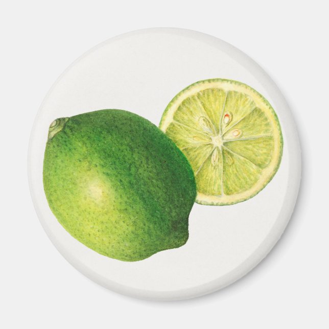 Aimant lime (Devant)