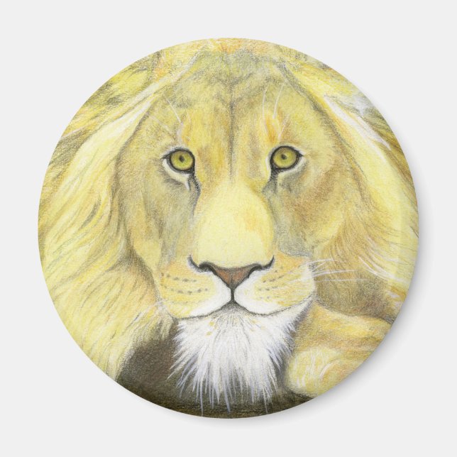 Aimant Lion (Devant)