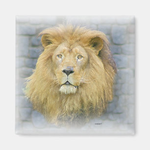 Aimant lion