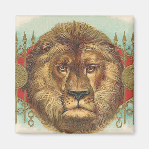 Aimant Lion