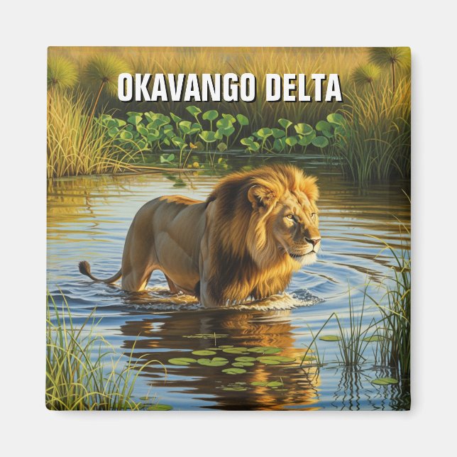 Aimant Lion dans le delta de l'Okavango Botswana (Devant)