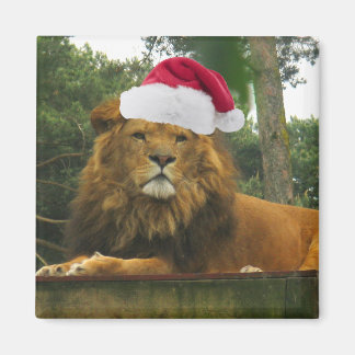Aimant Lion de Noël portant le chapeau du Père Noël