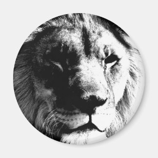 Aimant Lion noir et blanc
